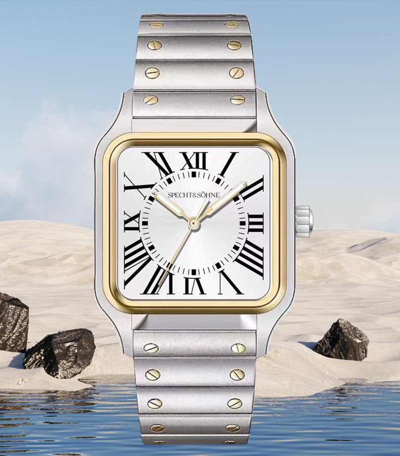 2025 recém chegados specht & s - Cartier Watch Santos avaliação e preço